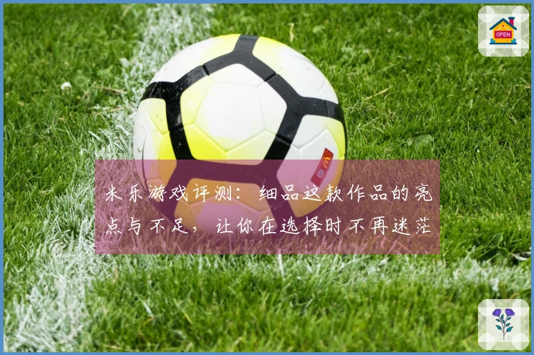 米乐游戏评测:细品这款作品的亮点与不足,让你在选择时不再迷茫