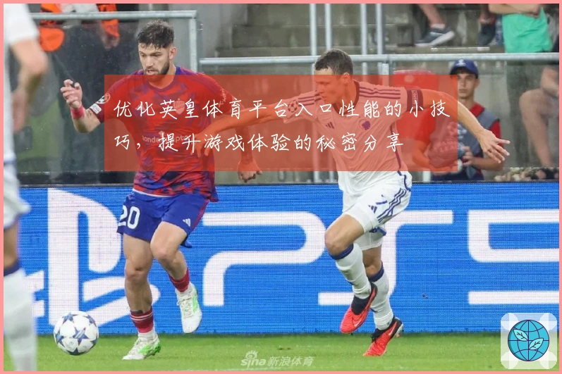 优化英皇体育平台入口性能的小技巧，提升游戏体验的秘密分享