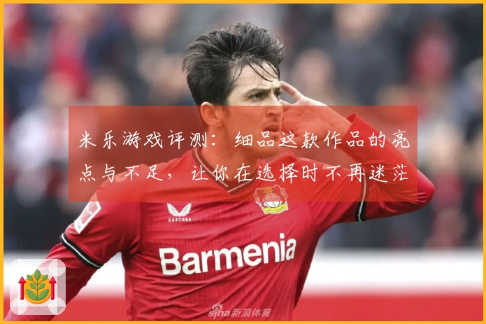 米乐游戏评测：细品这款作品的亮点与不足，让你在选择时不再迷茫